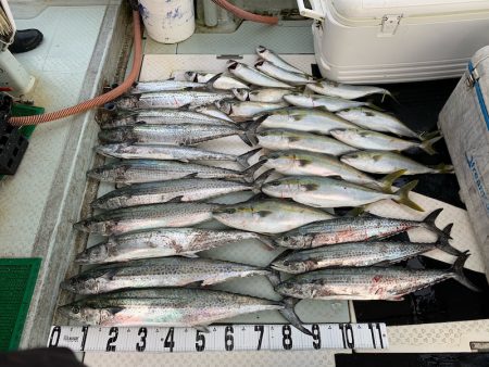 オーシャンスター(Ocean Star) …