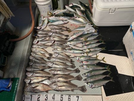 オーシャンスター(Ocean Star) 釣果