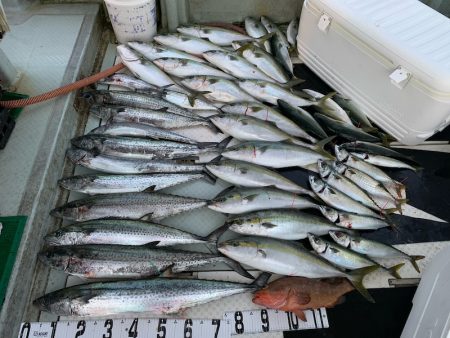 オーシャンスター(Ocean Star) …