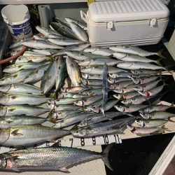 オーシャンスター(Ocean Star) 釣果