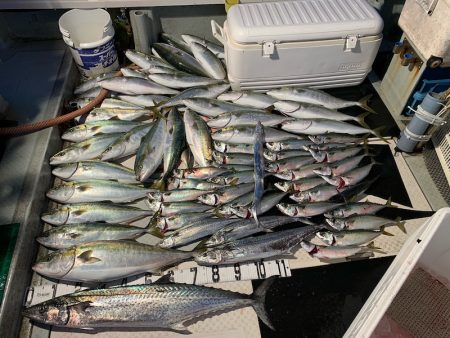 オーシャンスター(Ocean Star) …