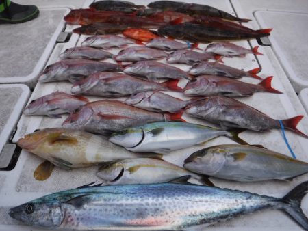 ＪＤＩ　Ｒａｃｉｎｇ　シールズマリンレジャ…