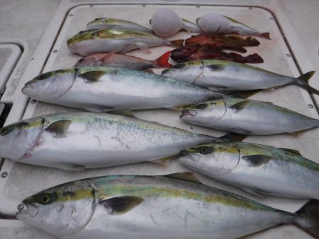 ＪＤＩ　Ｒａｃｉｎｇ　シールズマリンレジャ…