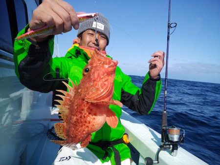 ひな丸 釣果
