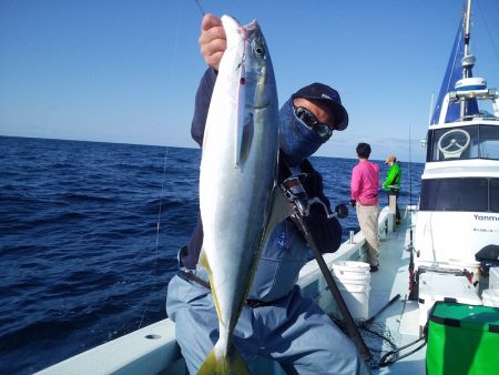 ひな丸 釣果