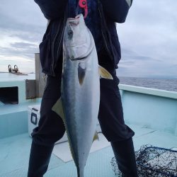 ひな丸 釣果