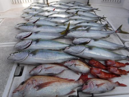 ＪＤＩ　Ｒａｃｉｎｇ　シールズマリンレジャ…