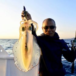 South Current 釣果