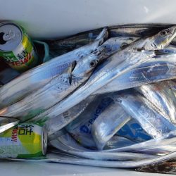 KIM Fishing Guide Service 釣果