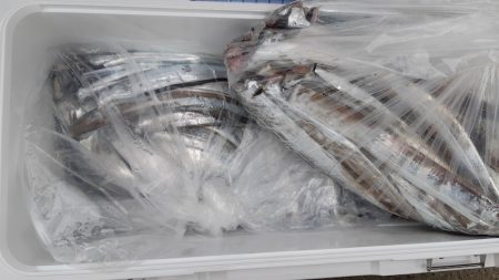 KIM Fishing Guide Ser…