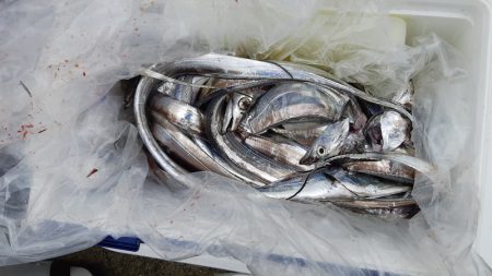 KIM Fishing Guide Service 釣果