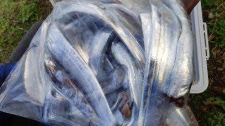 KIM Fishing Guide Ser…