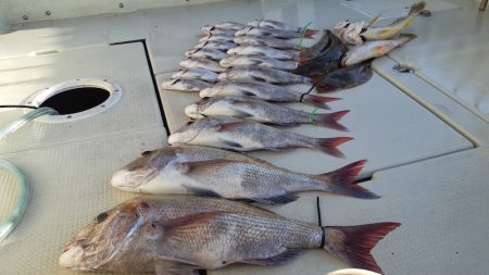 KIM Fishing Guide Ser…