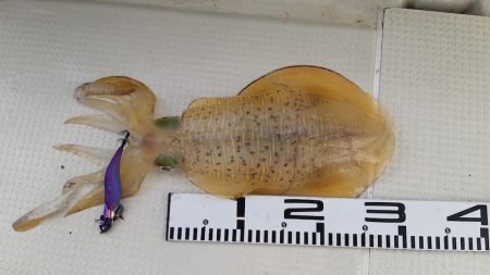 KIM Fishing Guide Ser…