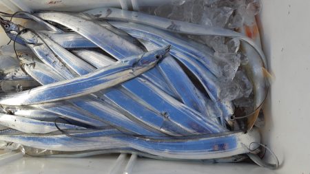 KIM Fishing Guide Ser…