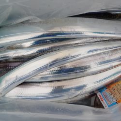 KIM Fishing Guide Service 釣果