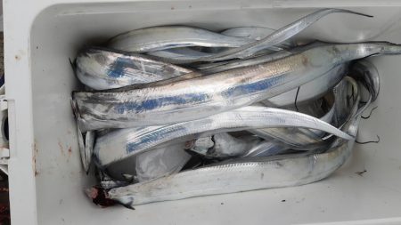 KIM Fishing Guide Service 釣果