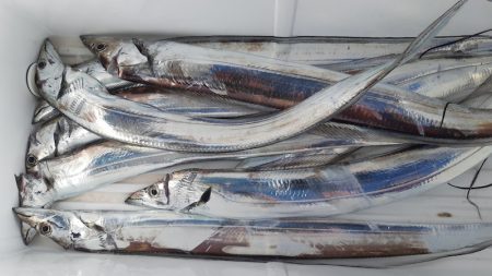 KIM Fishing Guide Ser…