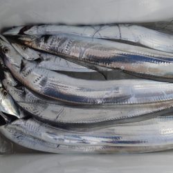 KIM Fishing Guide Service 釣果