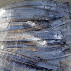 KIM Fishing Guide Service 釣果