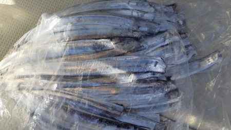 KIM Fishing Guide Ser…