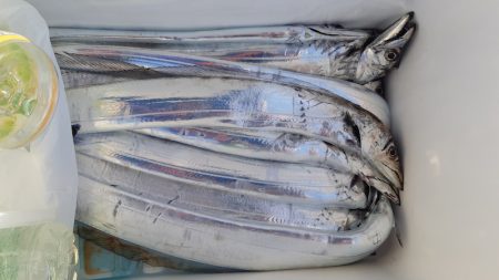 KIM Fishing Guide Service 釣果