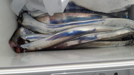 KIM Fishing Guide Service 釣果