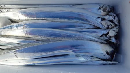 KIM Fishing Guide Ser…