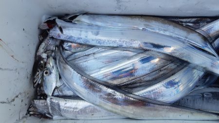 KIM Fishing Guide Service 釣果