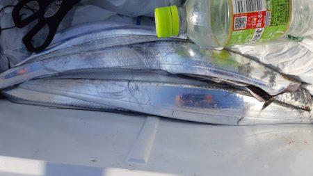 KIM Fishing Guide Service 釣果