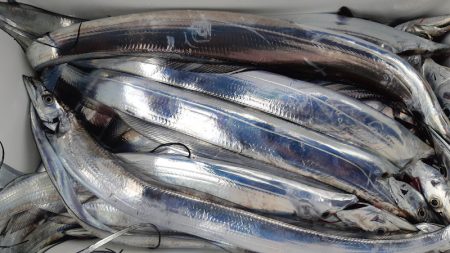 KIM Fishing Guide Ser…