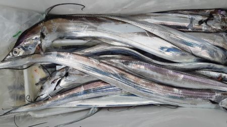 KIM Fishing Guide Service 釣果