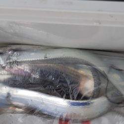 KIM Fishing Guide Service 釣果