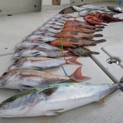 KIM Fishing Guide Service 釣果