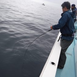 BlueNote Fishing Taxi 釣果