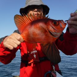 BlueNote Fishing Taxi 釣果