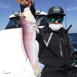 ＢｌｕｅＮｏｔｅ　Ｆｉｓｈｉｎｇ　Ｔａｘｉ 釣果