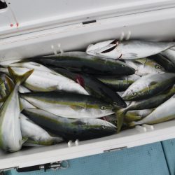 BlueNote Fishing Taxi 釣果