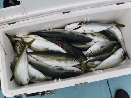 BlueNote Fishing Taxi 釣果