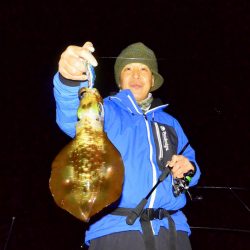 South Current 釣果