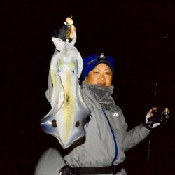 South Current 釣果