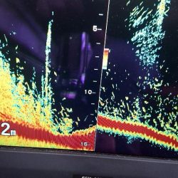 深川 吉野屋 釣果