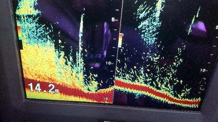 深川 吉野屋 釣果