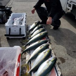 ゆたか丸 釣果