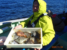 七福丸 釣果
