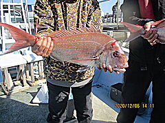 遊漁船 未紗奈 釣果