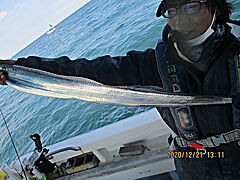 遊漁船 未紗奈 釣果