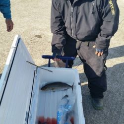 第五慶門丸 釣果