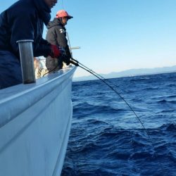 第五慶門丸 釣果