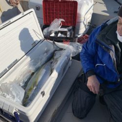 第八大安丸 釣果